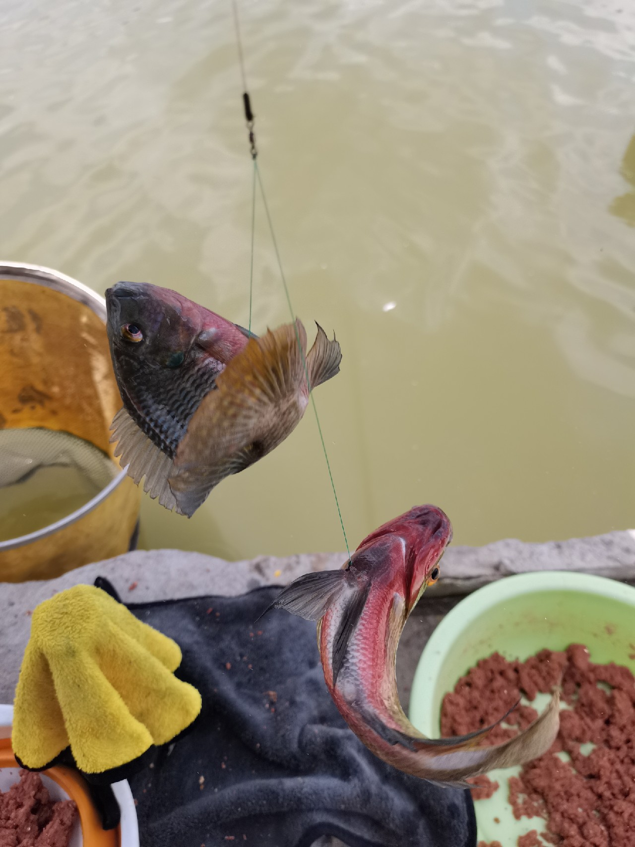 手持两米七神戟,瞎搞高田坑一天
