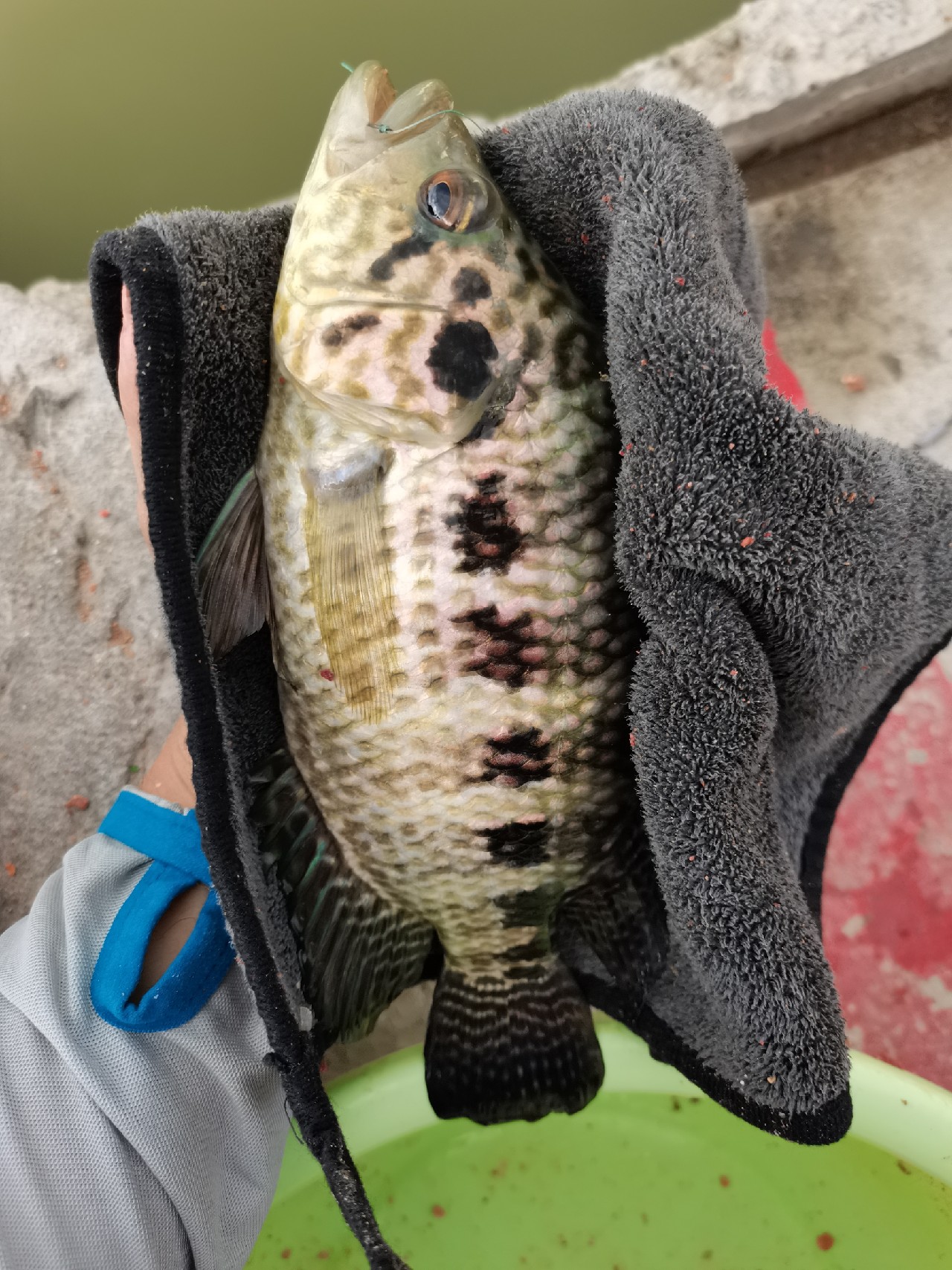 手持两米七神戟,瞎搞高田坑一天