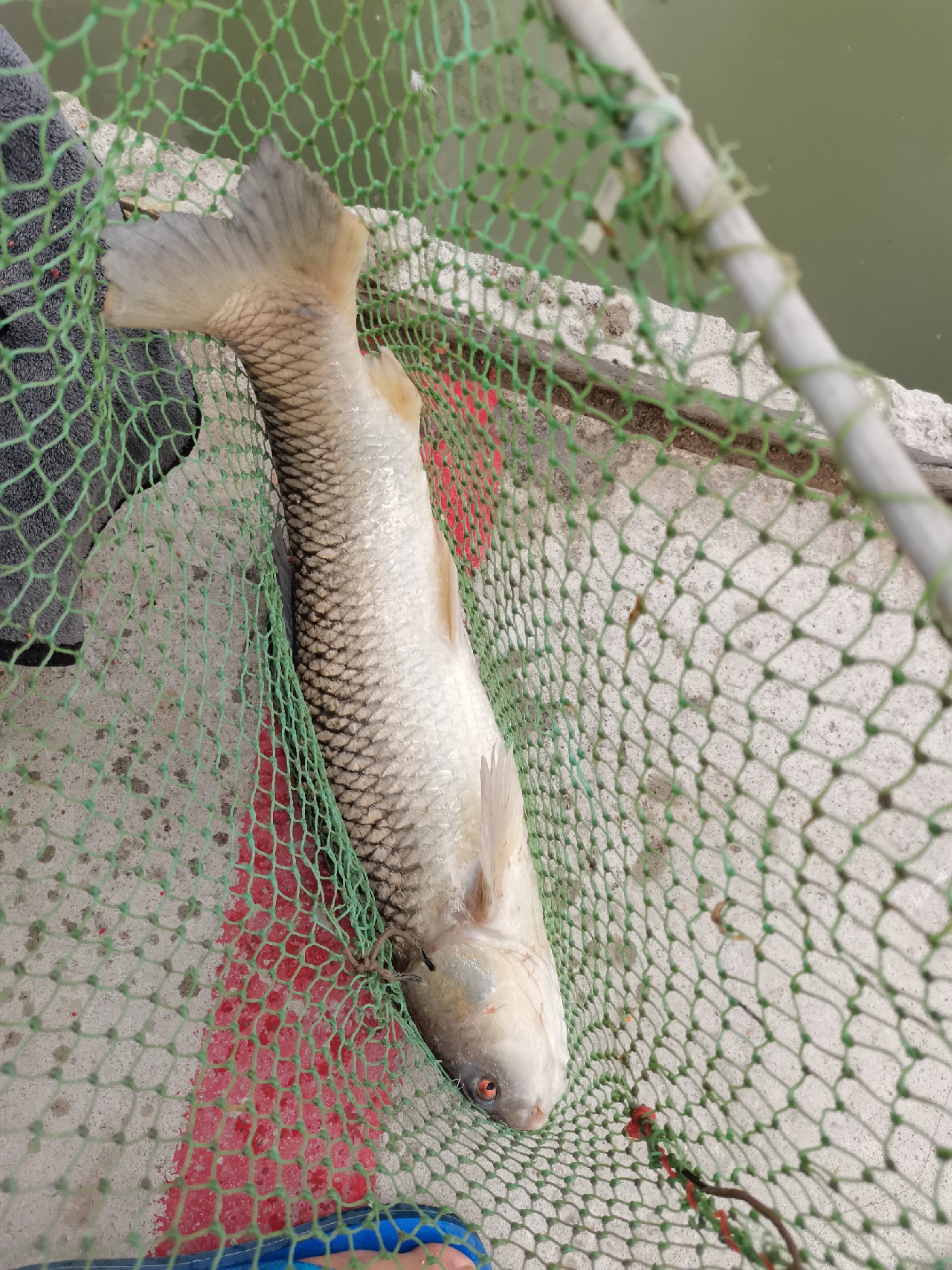 手持两米七神戟,瞎搞高田坑一天