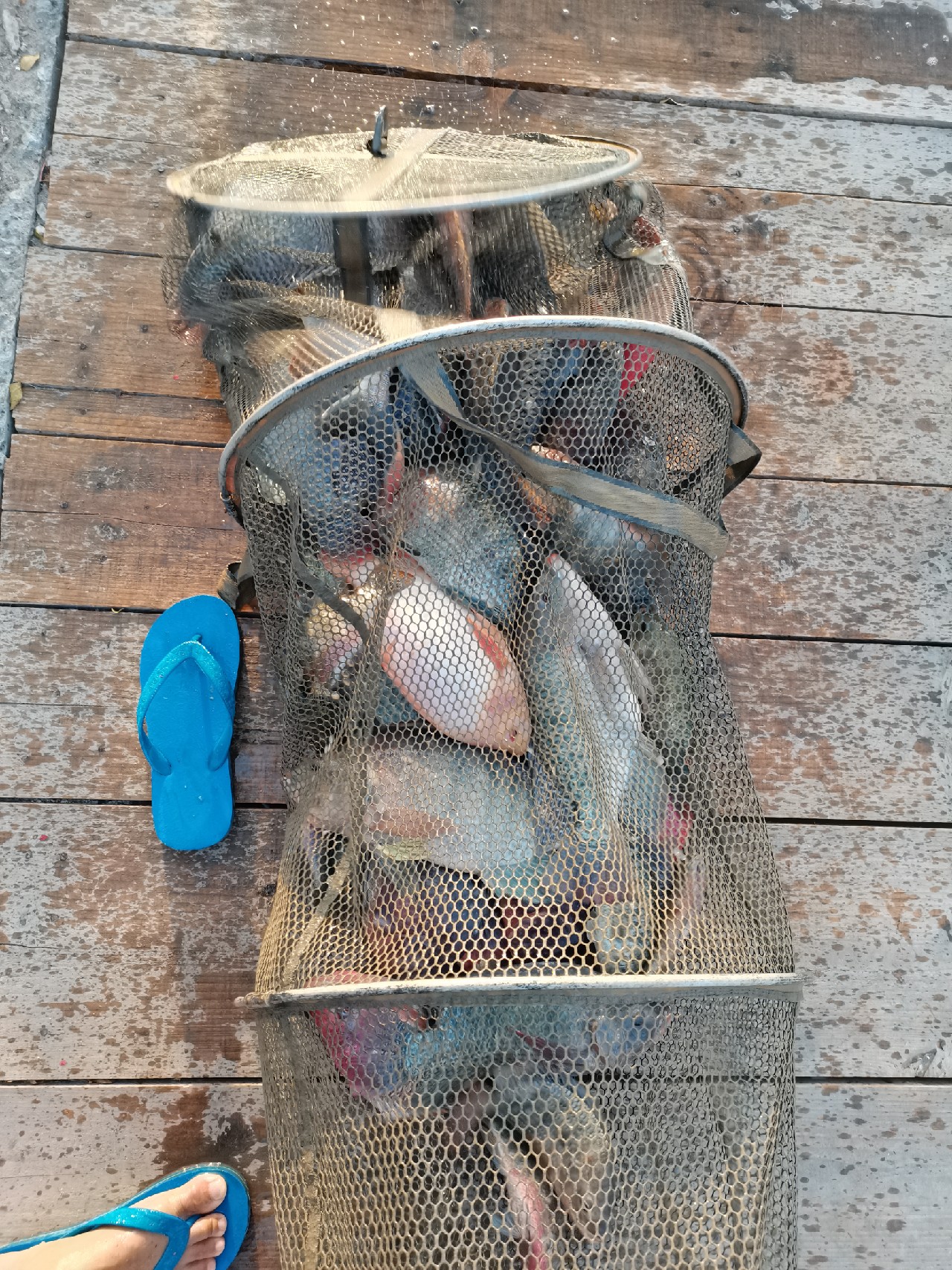 手持两米七神戟,瞎搞高田坑一天