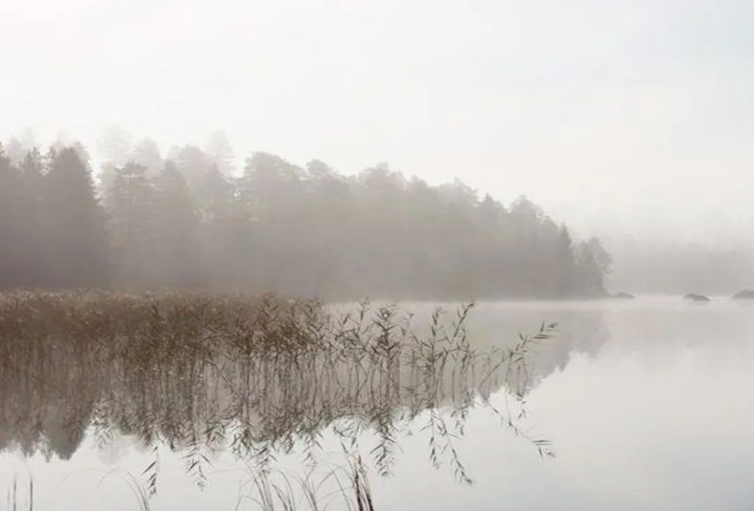 布鲁盟邦邦：深潜纯粹，坚持对人文设计的探索