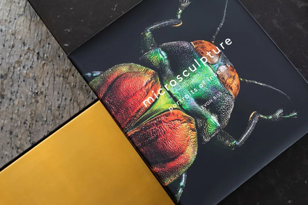 布鲁盟邦邦：深潜纯粹，坚持对人文设计的探索