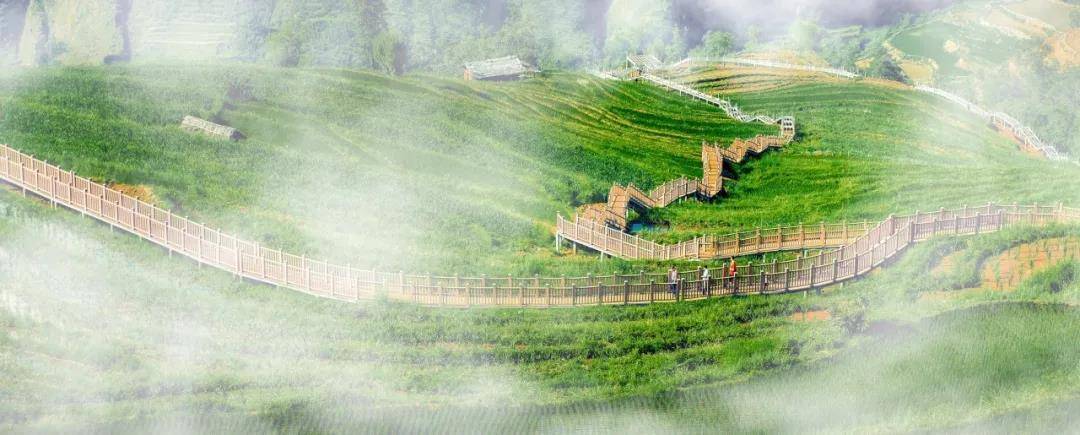 攀枝花旅游景点免费活动,四川攀枝花旅游景点大全