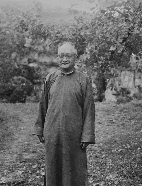 柳向春与徐森玉,柳向春是怎么死的