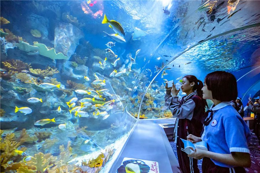 东港适合孩子玩儿的地方,秋天东港好玩的地方推荐小孩玩