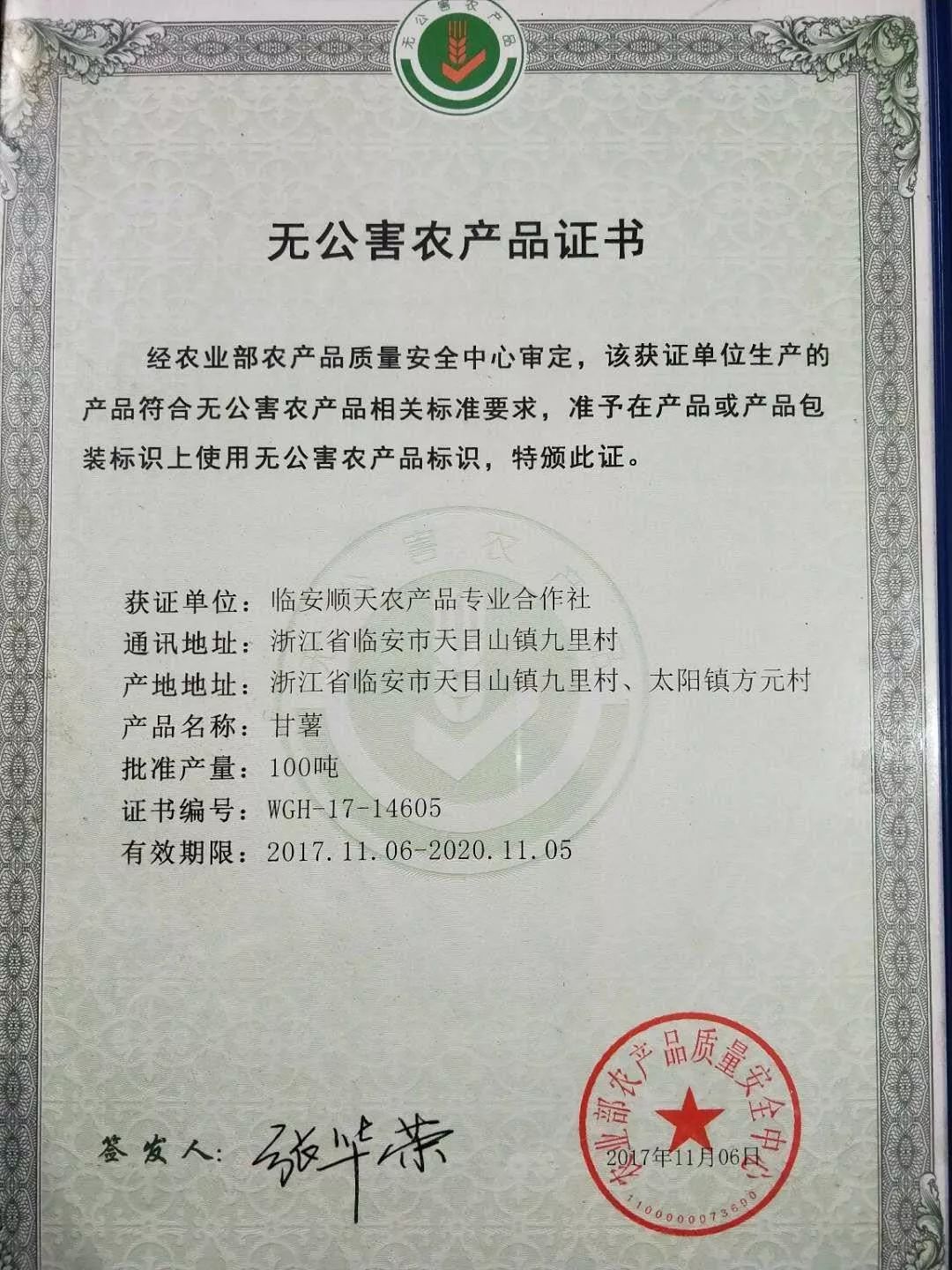 临安天目山小香薯粉糯香甜,天目山小香薯新鲜现挖