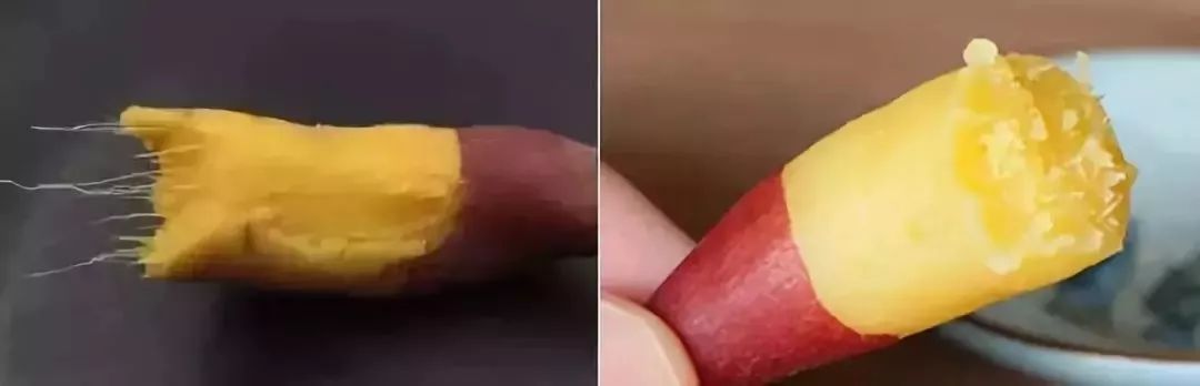 临安天目山小香薯粉糯香甜,天目山小香薯新鲜现挖