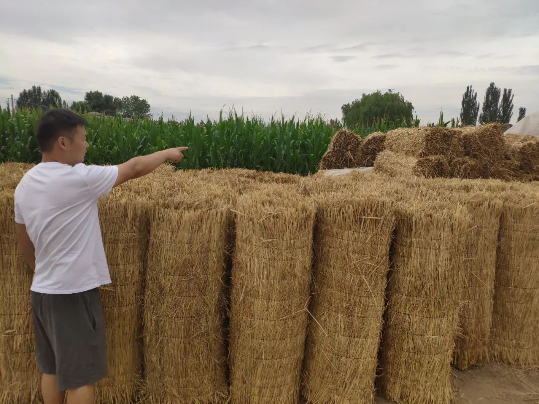 草编电商交易平台,草编工艺品出口订单