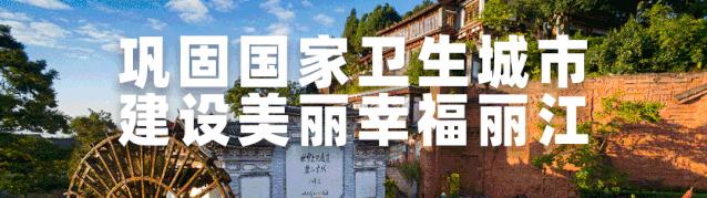 「丽江关注」快展示！会动的东巴文表情包来啦