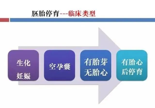 「生殖吧」空孕囊、胚胎停育,究竟是怎么一回事?
