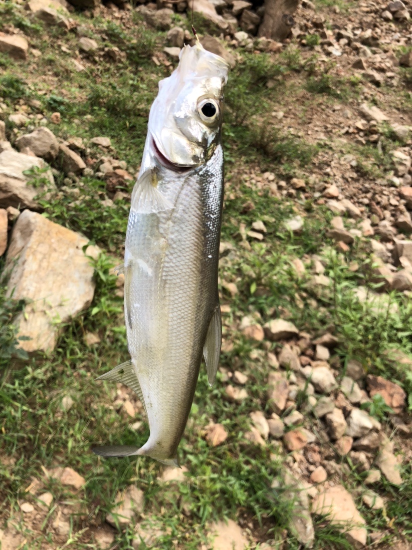 雷打滩水电站钓棚图片,雷打滩水电站钓鱼棚电话