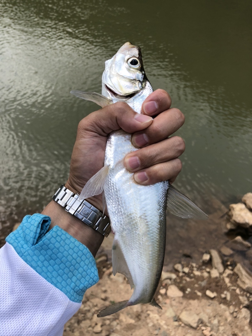 雷打滩水电站钓棚图片,雷打滩水电站钓鱼棚电话
