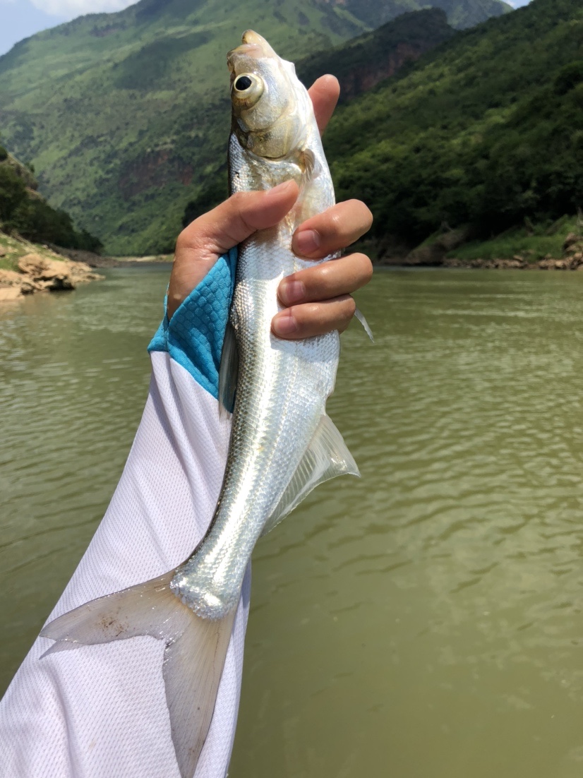 雷打滩水电站钓棚图片,雷打滩水电站钓鱼棚电话