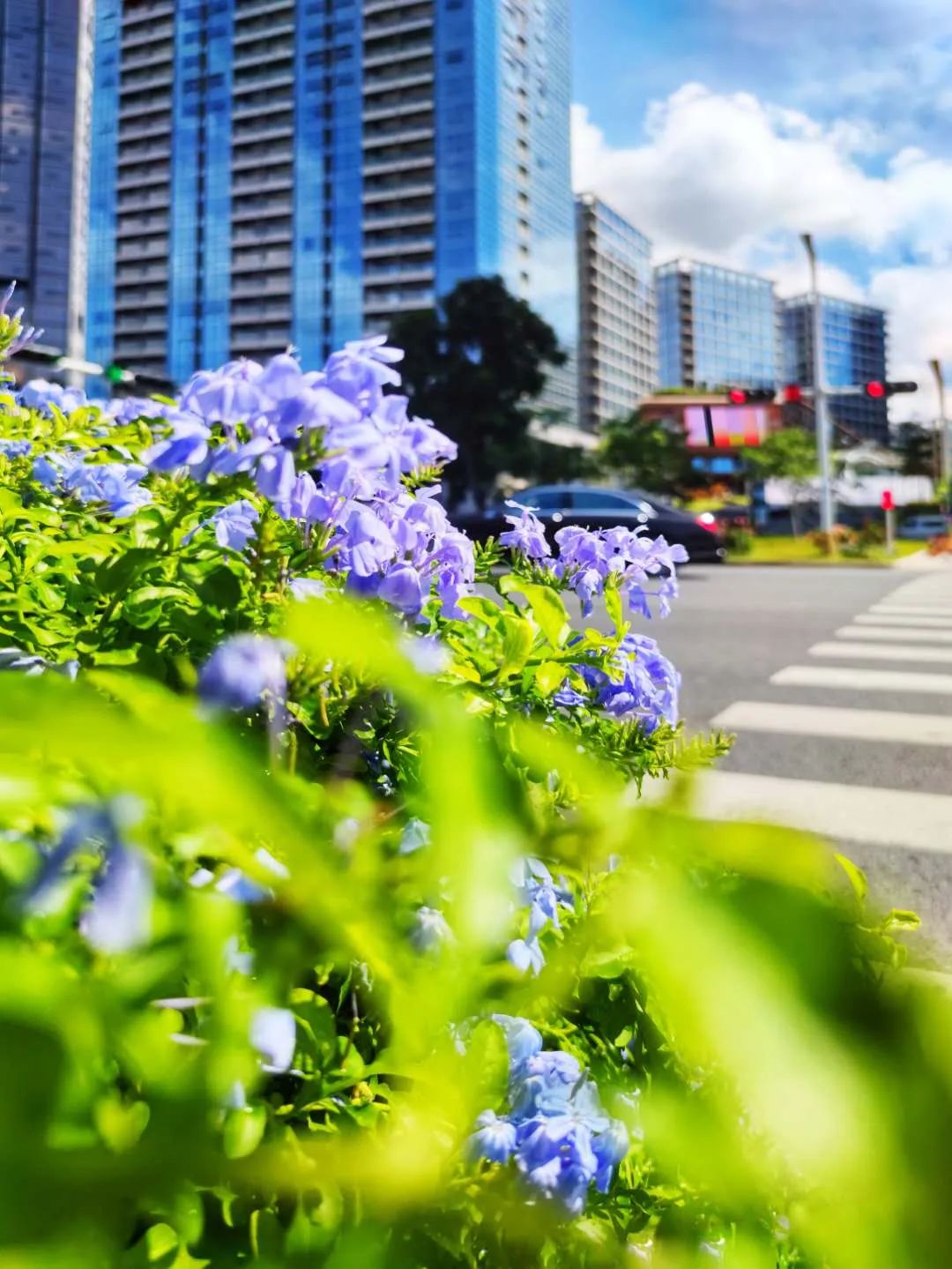 看牙的经历和感悟,第一次看牙日记