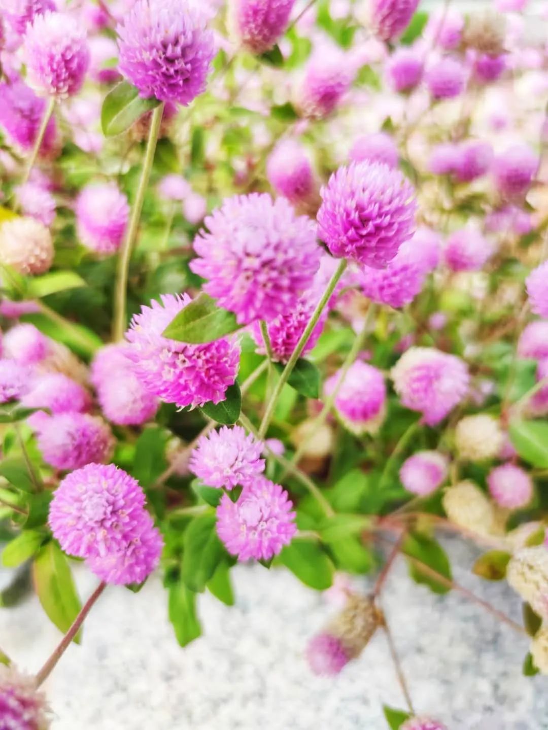 看牙的经历和感悟,第一次看牙日记