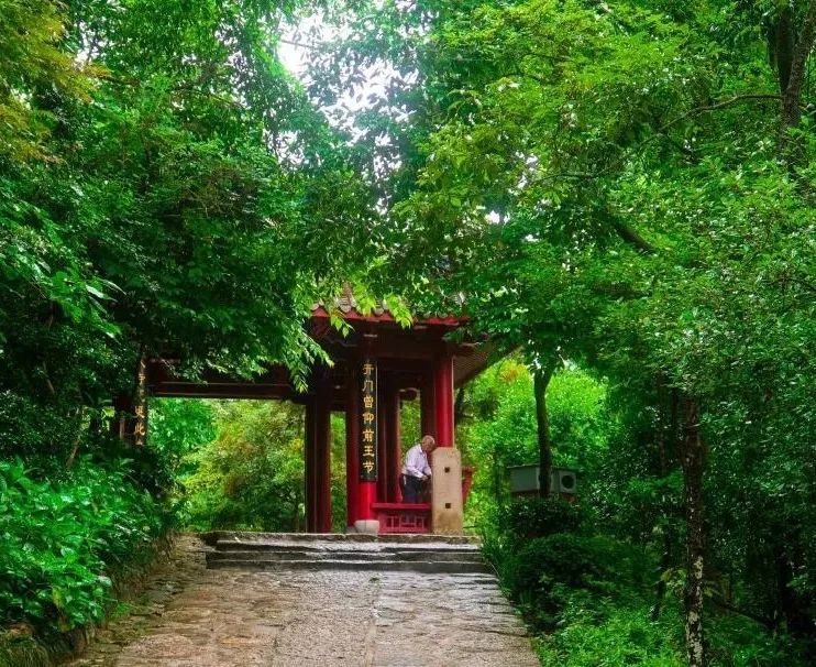 福州市节假日免费乘公交地铁,福州地铁公交周末节假日免费坐