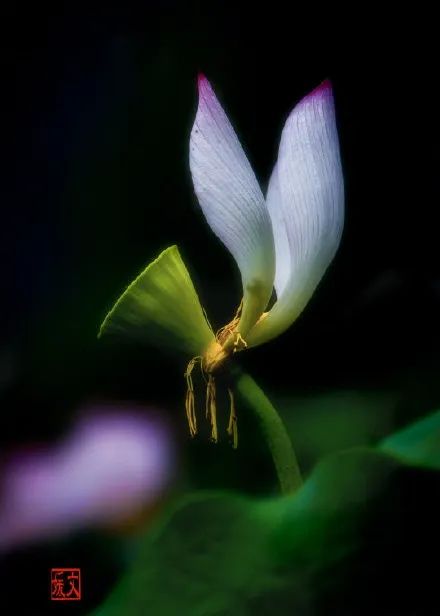 福州市节假日免费乘公交地铁,福州地铁公交周末节假日免费坐