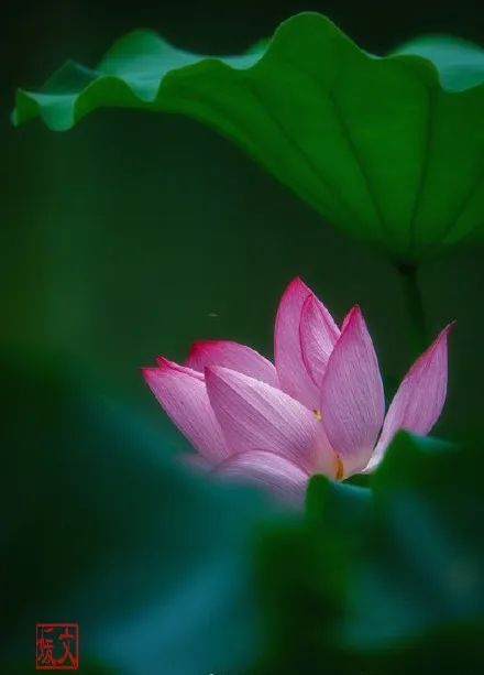 福州市节假日免费乘公交地铁,福州地铁公交周末节假日免费坐
