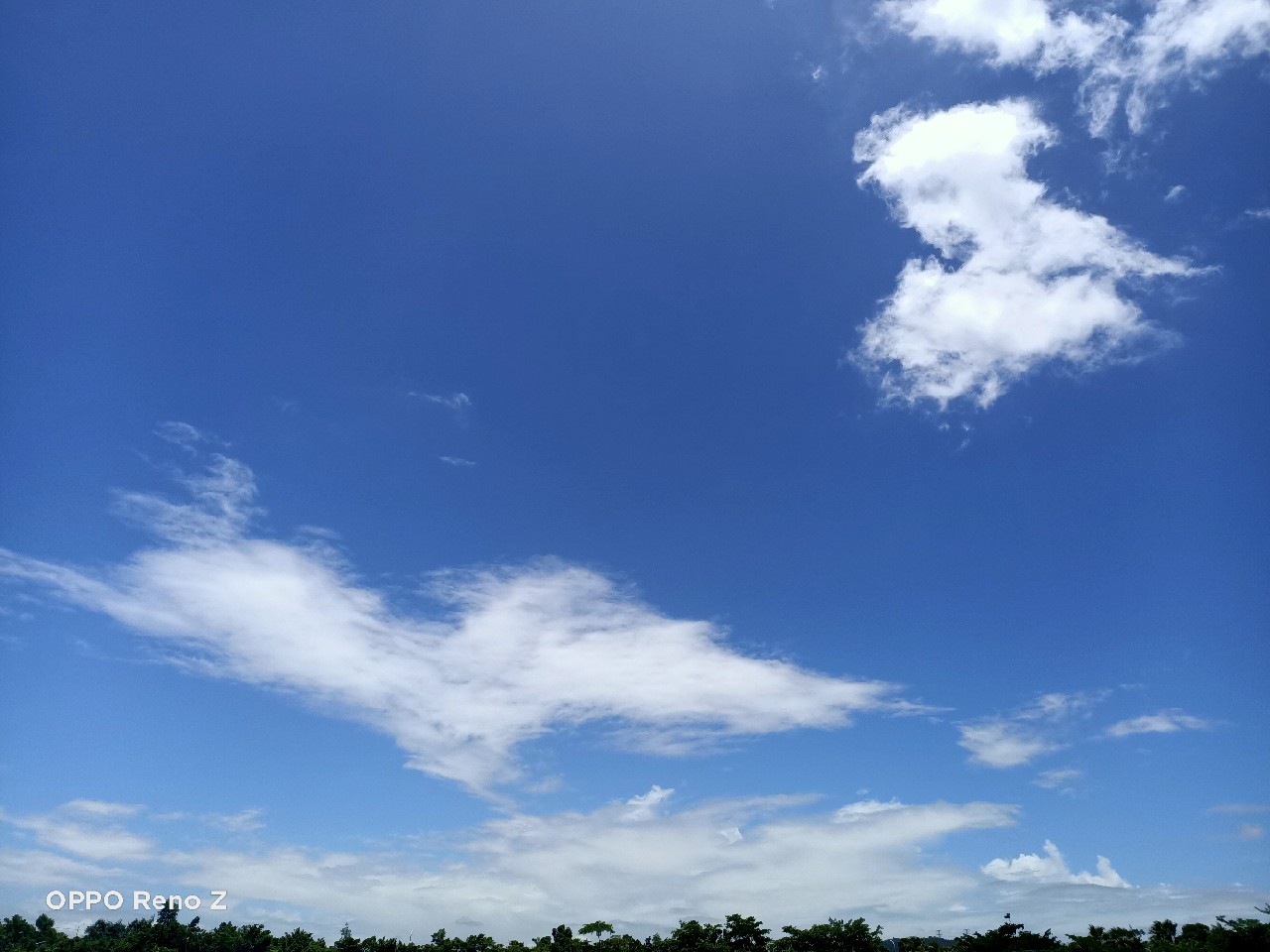 海钓初级篇新手进来看一看,海钓场专攻腊鱼教学