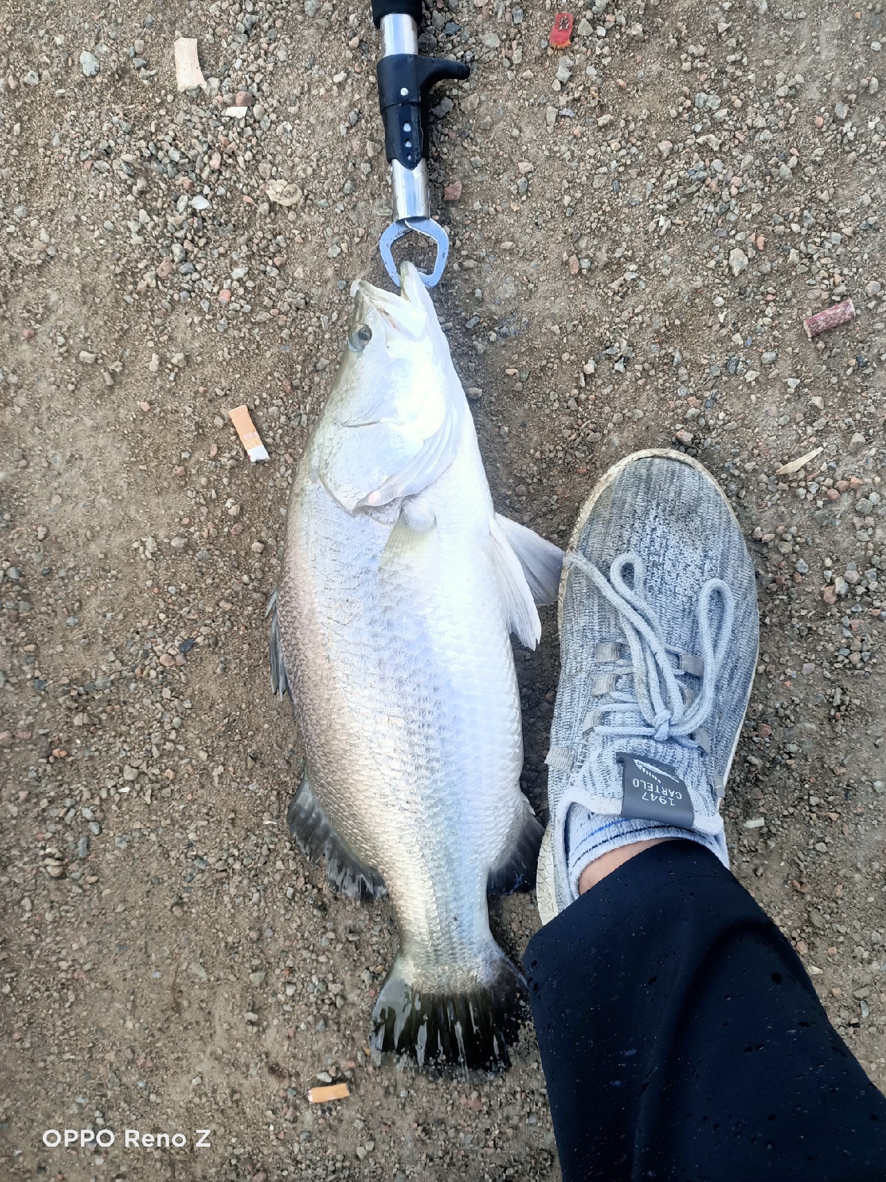 海钓初级篇新手进来看一看,海钓场专攻腊鱼教学