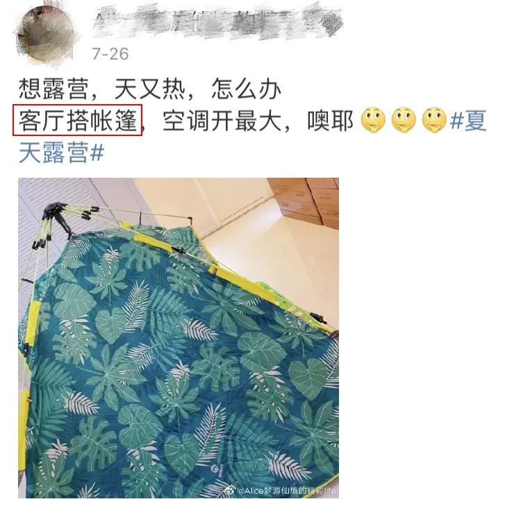 成都周边森林露营看萤火虫,成都周边森林公园露营