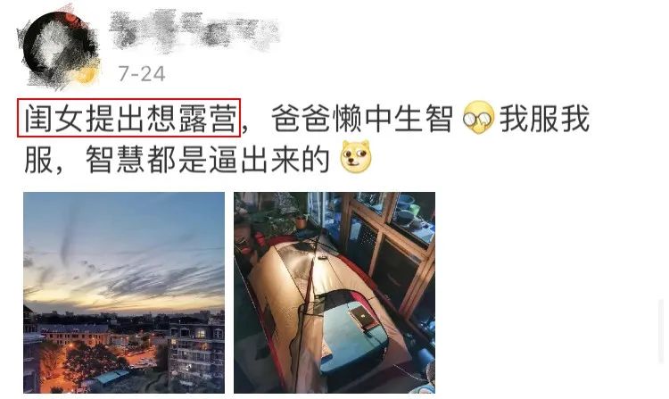 成都周边森林露营看萤火虫,成都周边森林公园露营