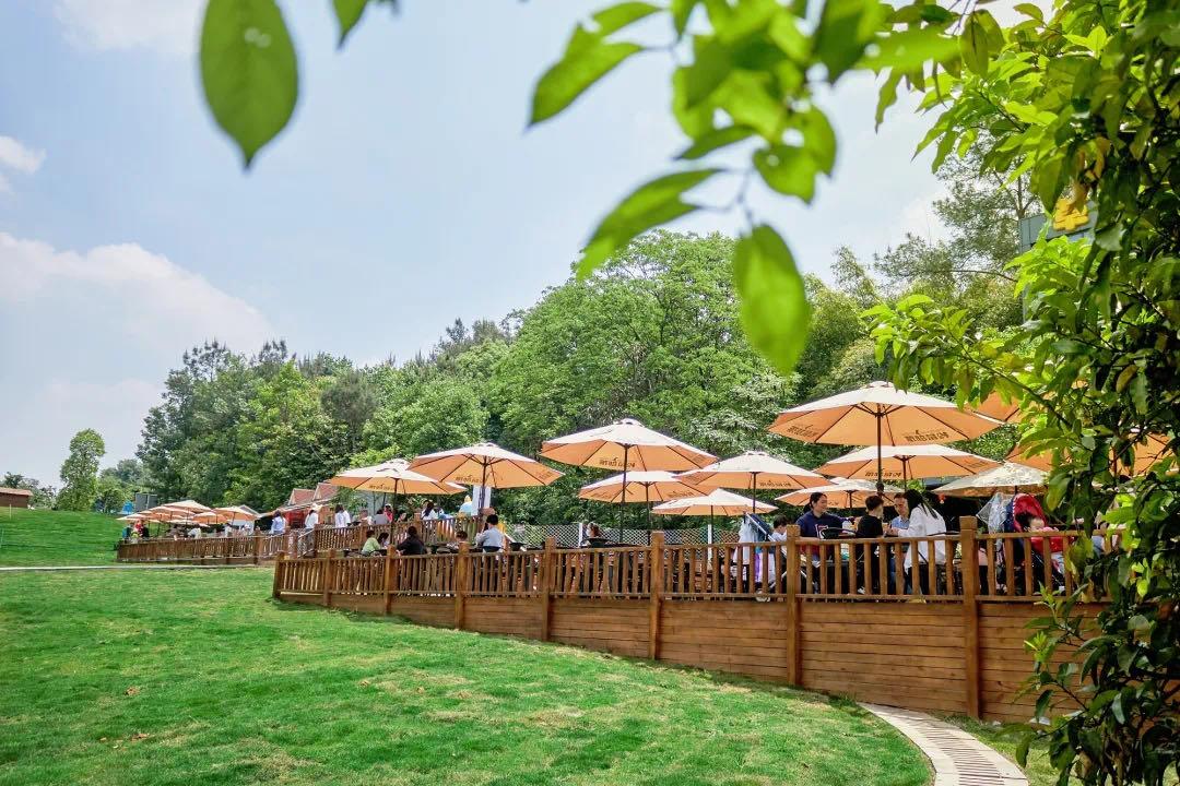 成都周边森林露营看萤火虫,成都周边森林公园露营