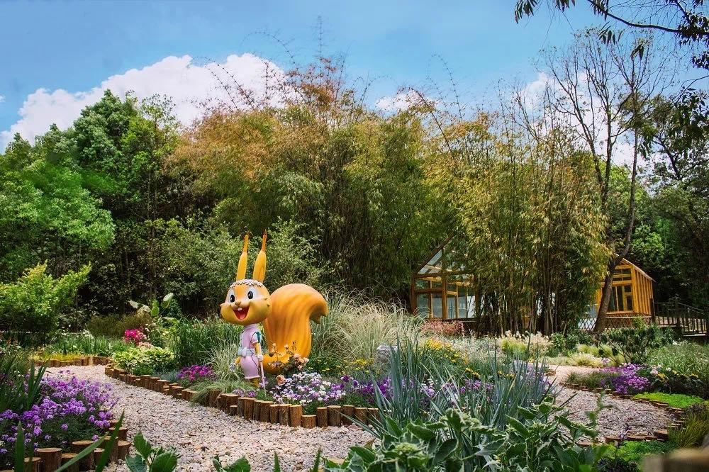 成都周边森林露营看萤火虫,成都周边森林公园露营