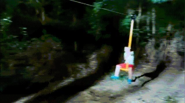 成都周边森林露营看萤火虫,成都周边森林公园露营