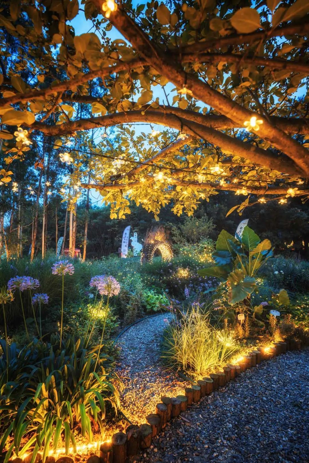 成都周边森林露营看萤火虫,成都周边森林公园露营