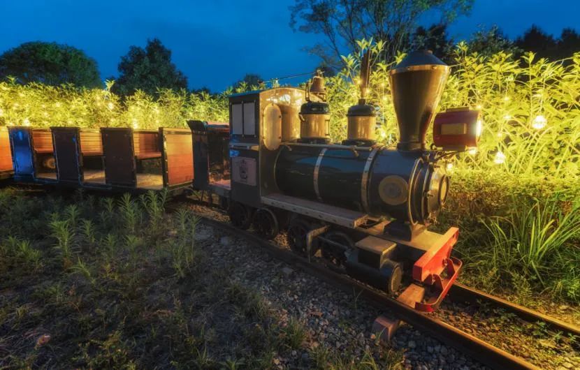 成都周边森林露营看萤火虫,成都周边森林公园露营