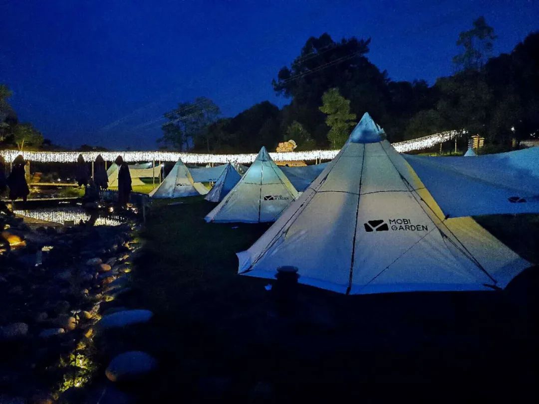 成都周边森林露营看萤火虫,成都周边森林公园露营