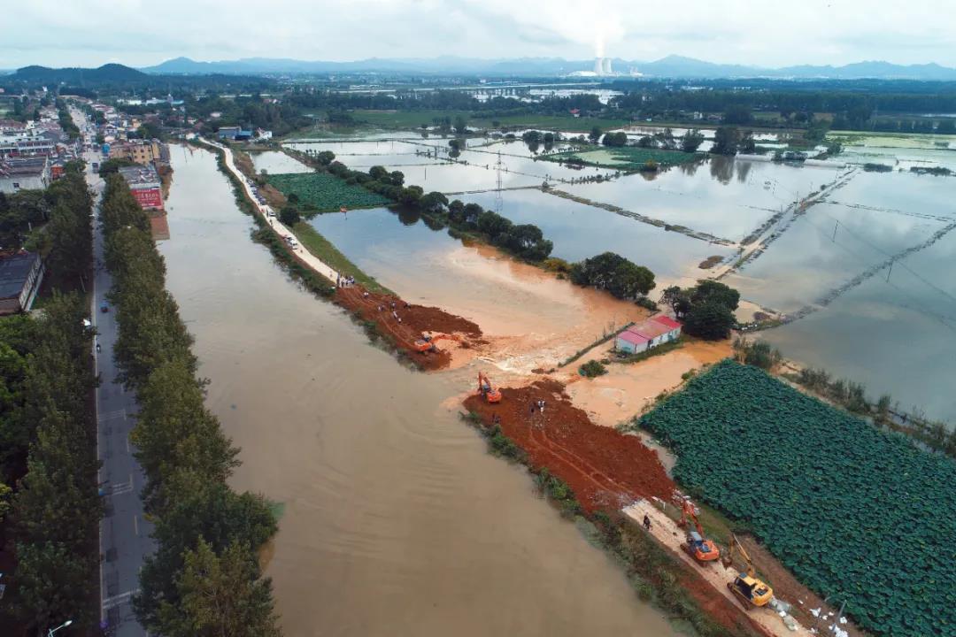 巢湖保卫战简介,直击太湖大堤防汛抗洪现场