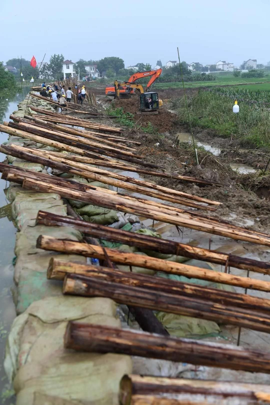 巢湖保卫战简介,直击太湖大堤防汛抗洪现场