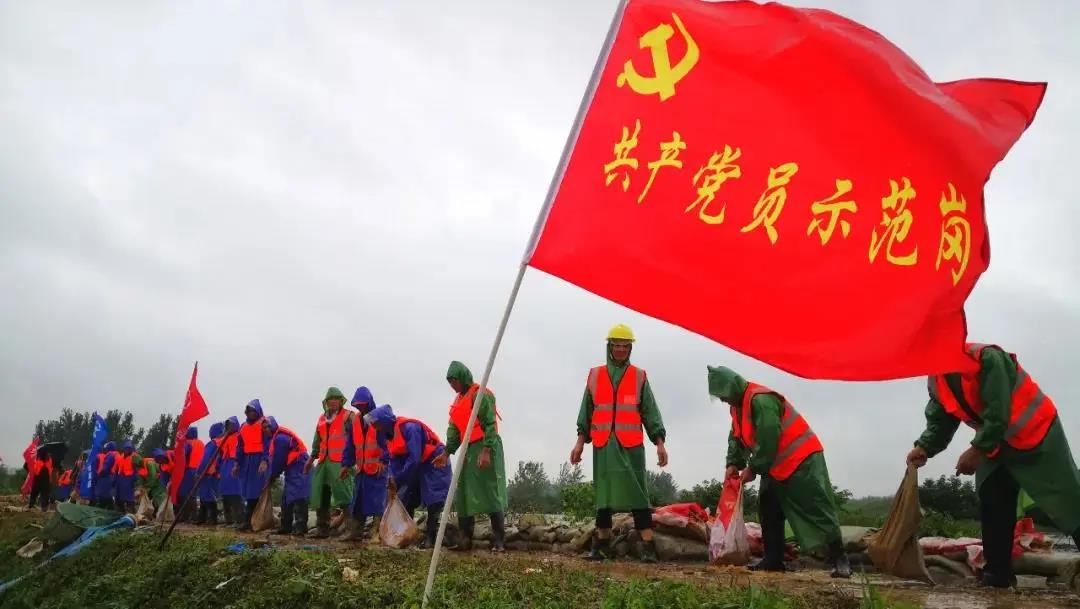 巢湖保卫战简介,直击太湖大堤防汛抗洪现场