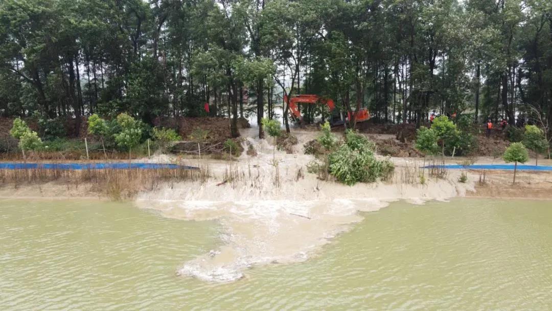 巢湖保卫战简介,直击太湖大堤防汛抗洪现场