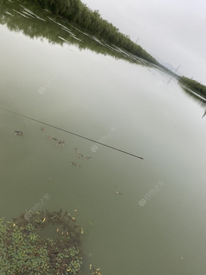 野钓技巧全攻略注意安全,几个野钓小技巧送给初学者