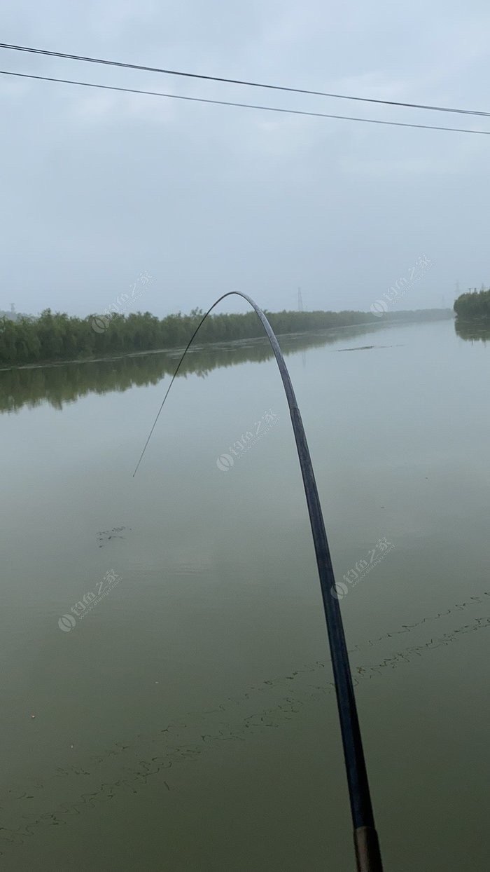 野钓技巧全攻略注意安全,几个野钓小技巧送给初学者
