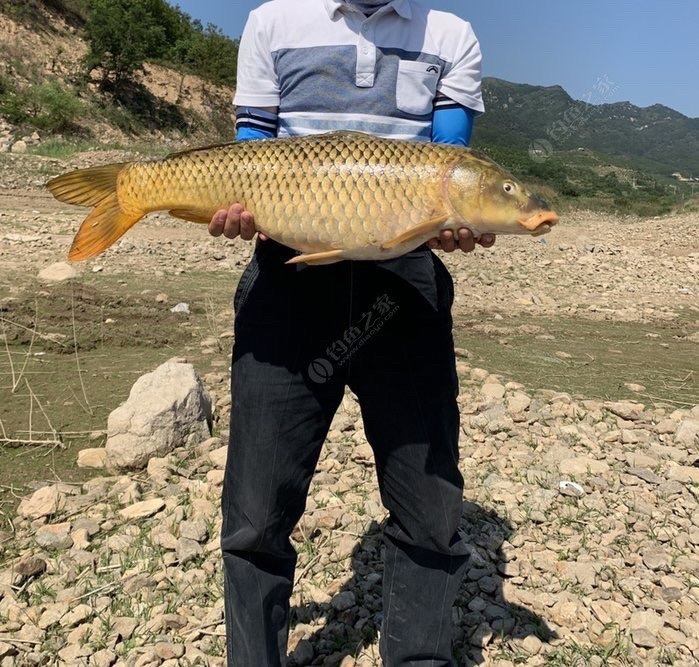 野钓技巧全攻略注意安全,几个野钓小技巧送给初学者