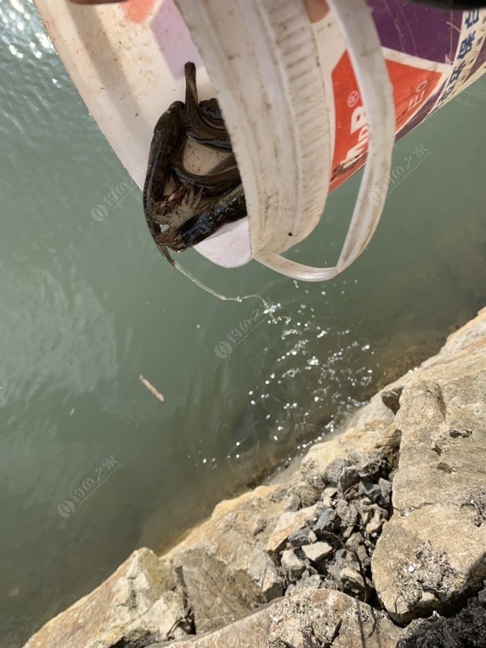 野钓技巧全攻略注意安全,几个野钓小技巧送给初学者