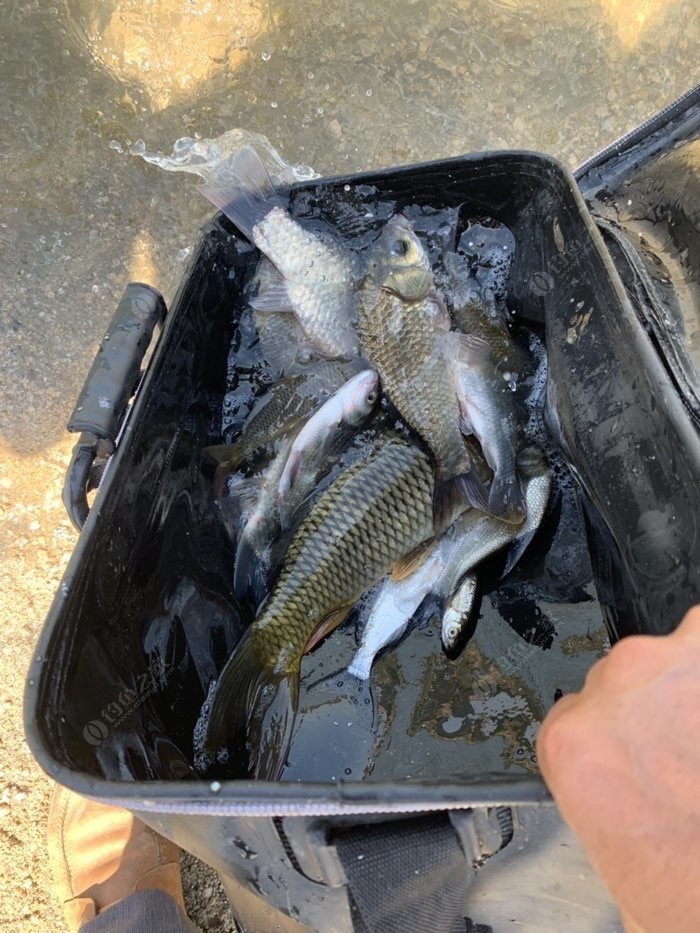 野钓技巧全攻略注意安全,几个野钓小技巧送给初学者