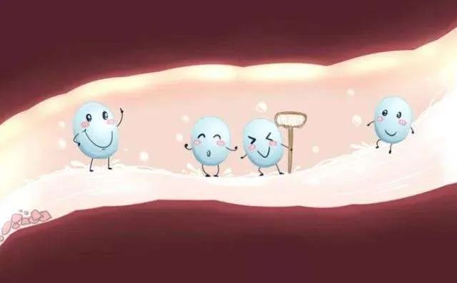 益生菌不建议给宝宝长期服用,益生菌孩子可以随便吃吗