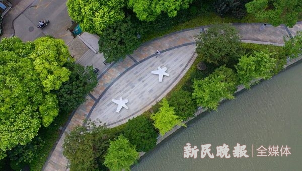 2020夏令热线·记者调查｜苏州河岸：打开“后花园”“断点”连成线