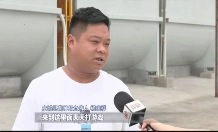 行与不行的感悟,行与不行之间意味着什么