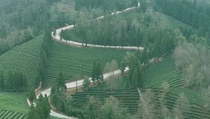 行与不行的感悟,行与不行之间意味着什么