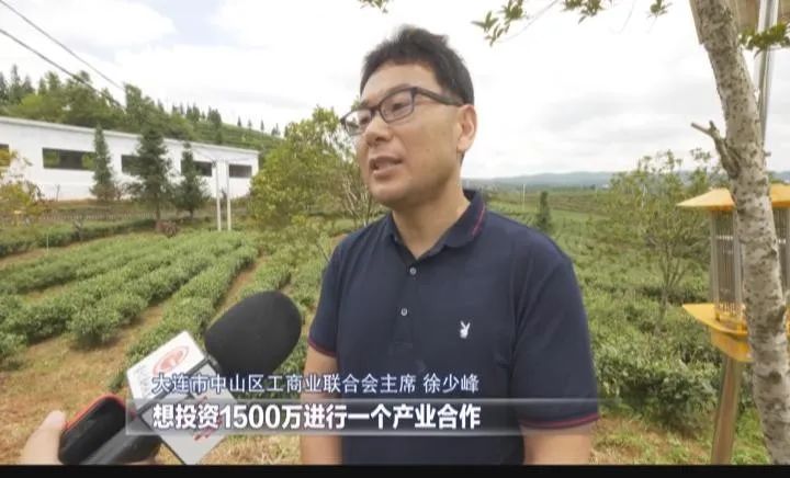 行与不行的感悟,行与不行之间意味着什么