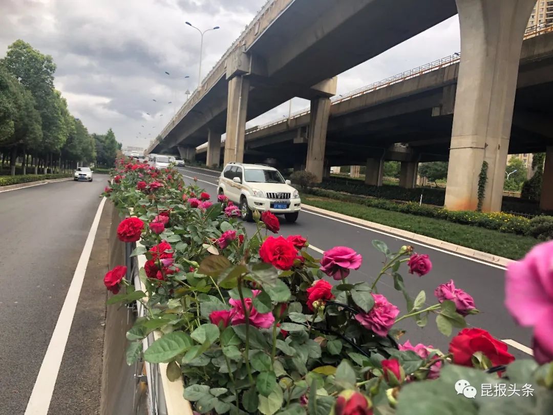 “进度条”来啦！昆明62条道路8月底前完成整治