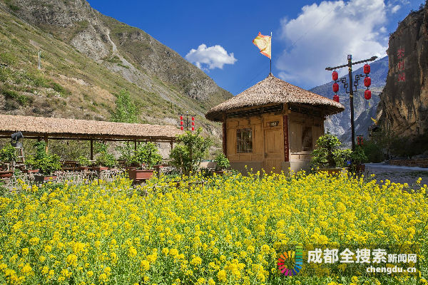 邛崃“亲人”为九寨发展贡献智慧和力量