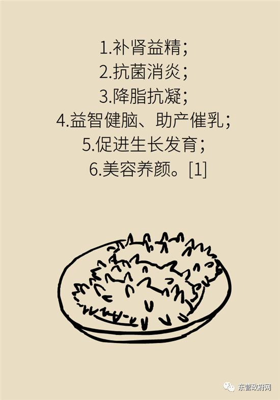 三种人不宜吃海参的原因,海参的吃法大忌