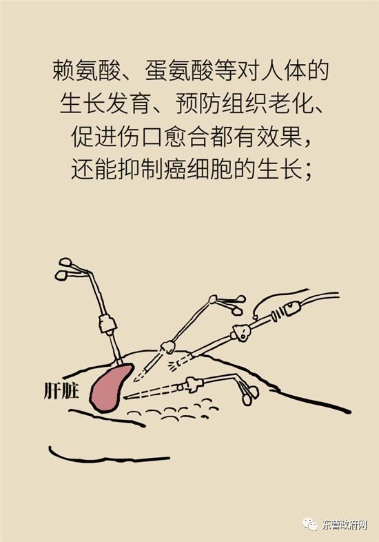 三种人不宜吃海参的原因,海参的吃法大忌